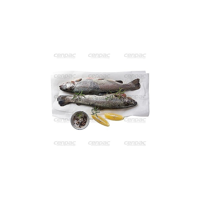IMPERMEABLE BLANCHI 45G 25X32CM PAQUET DE 10KG PAQUET DE 10KG