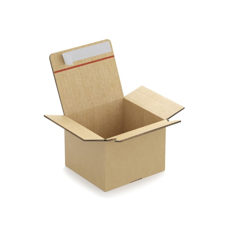 Caisse carton brune double cannelure montage instantané fermeture adhésive RAJA 23x16x10 cm - Paquet de 10