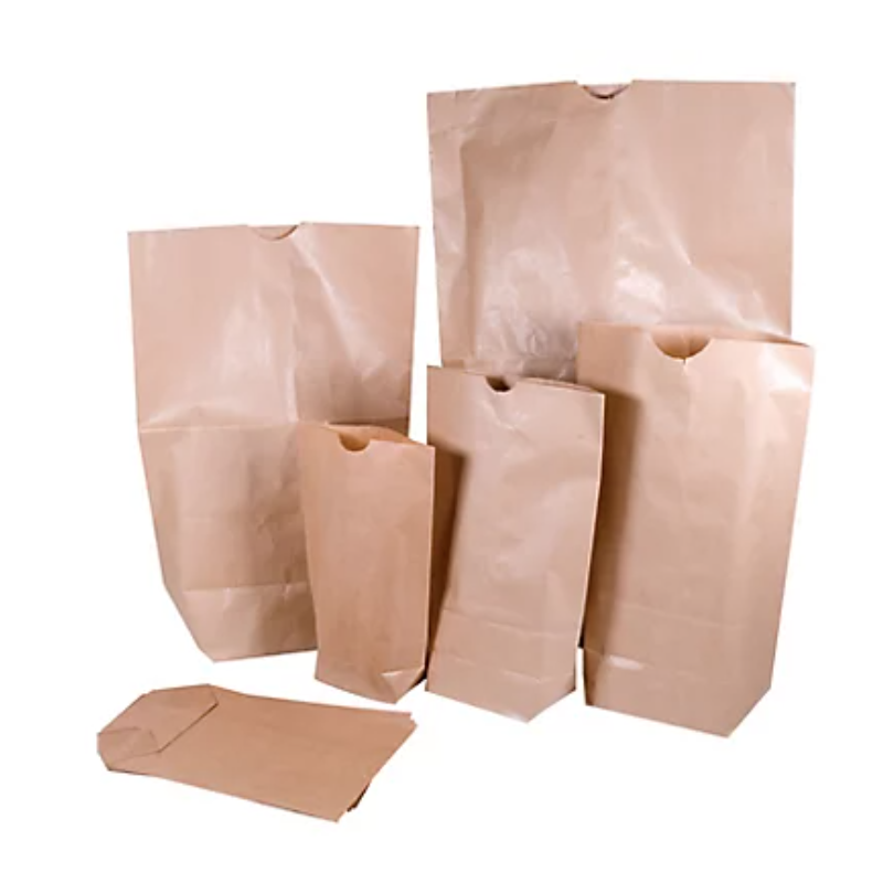 Sac ecorne kraft brun - 2x60g/m² 21x32,5cm - colis de 250 sacs