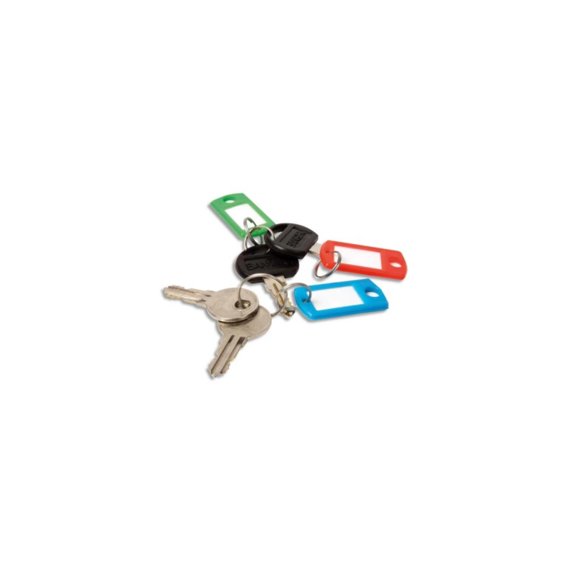 PAVO Boîte de 20 portes clés avec anneaux - coloris assortis